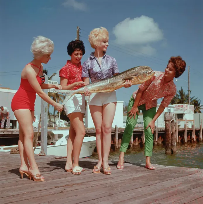 Framed Print : Beauty Contestants Examining Large Fish in Miami Framed Print : Beauty Contestants Examining Large Fish in Miami