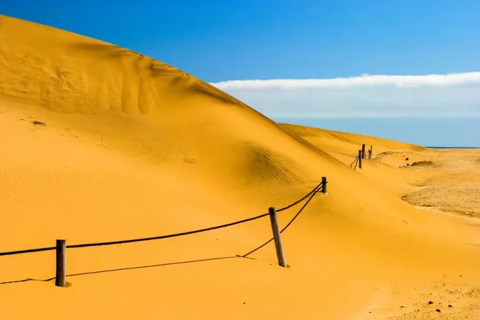 Framed Print : beauty in nature, blue sky, desert eco system, dry, eco tourism, environment, fence