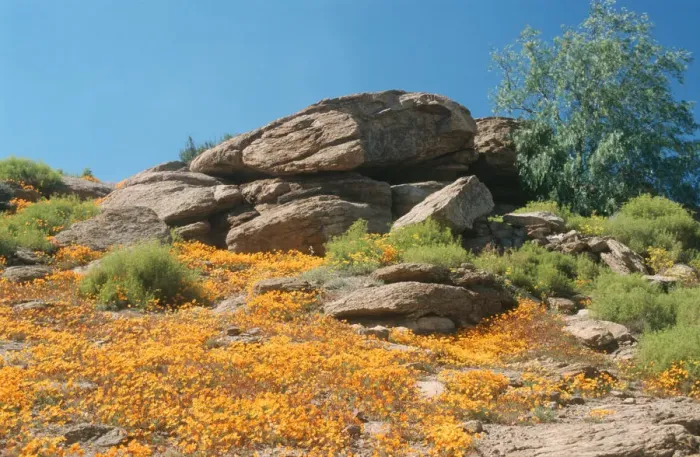 Framed Print : beauty in nature, clear sky, color image, day, horizontal, landscape, namaqualand Framed Print : beauty in nature, clear sky, color image, day, horizontal, landscape, namaqualand