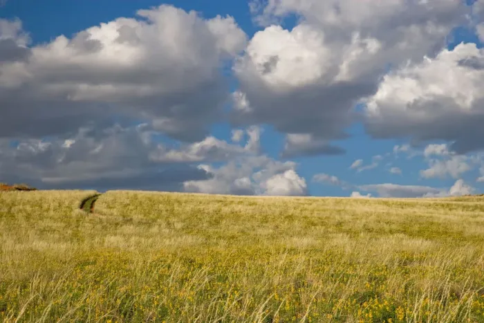 Framed Print : beauty in nature, cloud, color image, day, field, grass area, horizon over land, horizontal Framed Print : beauty in nature, cloud, color image, day, field, grass area, horizon over land, horizontal