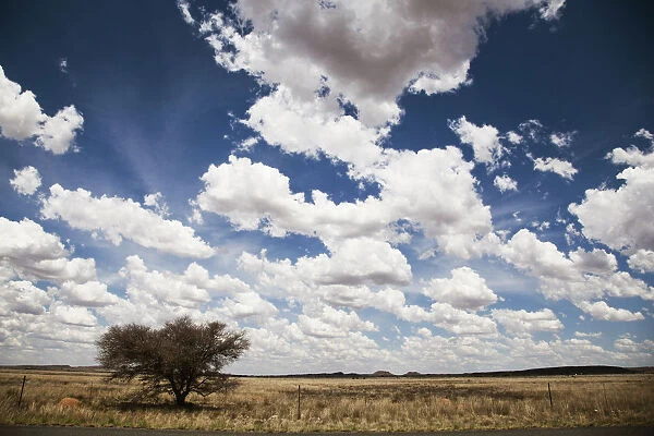 beauty in nature, cloud, color image, colour image, day, daytime, desert, field, harmonious
