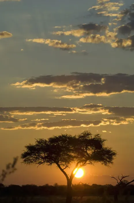 Framed Print : beauty in nature, cloudscape, hwange national park, idyllic, landscape, majestic Framed Print : beauty in nature, cloudscape, hwange national park, idyllic, landscape, majestic