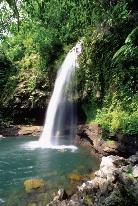 Framed Print : Beauty In Nature, Day, Falls, Fiji, Green, Growth, Idyllic, Island, Leaf Framed Print : Beauty In Nature, Day, Falls, Fiji, Green, Growth, Idyllic, Island, Leaf