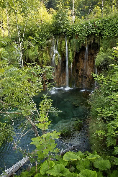 The beauty of nature in Plitvice Lakes