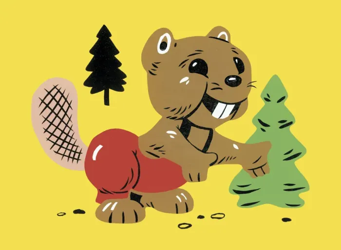 Framed Print : Beaver. http: / / csaimages.com / images / istockprofile / csa_vector_dsp.jpg Framed Print : Beaver. http: / / csaimages.com / images / istockprofile / csa_vector_dsp.jpg