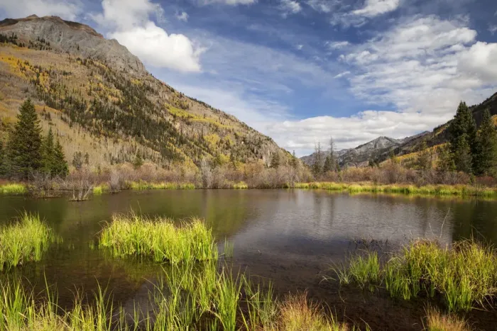 Framed Print : Beaver pond in mountain landscape, San Juan Mountains, Colorado, USA Framed Print : Beaver pond in mountain landscape, San Juan Mountains, Colorado, USA