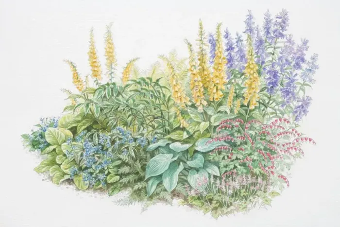 Framed Print : Bed of leafy and flowering plants Framed Print : Bed of leafy and flowering plants