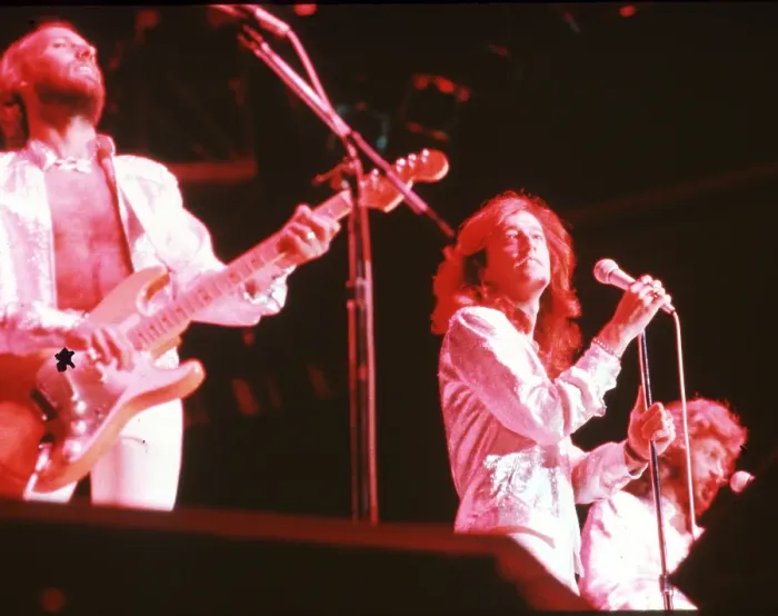 Framed Print : The Bee Gees Framed Print : The Bee Gees
