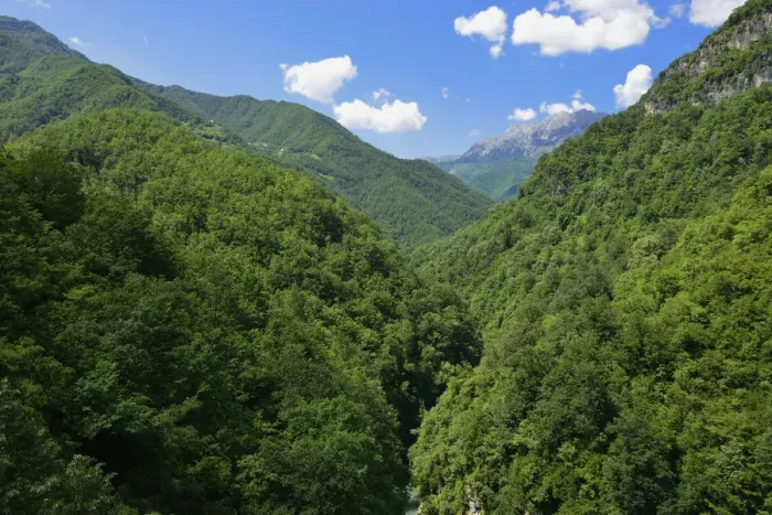 Framed Print : Beech forest in Moraca Canyon between Podgorica and Kolasin, Crna Gora, Montenegro