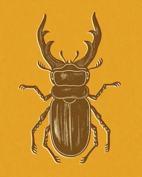Framed Print : Beetle on Orange Background Framed Print : Beetle on Orange Background