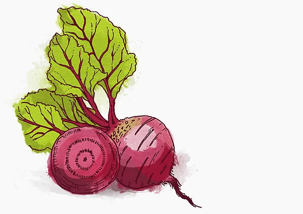 beetroot, colour, green, homegrown, nobody