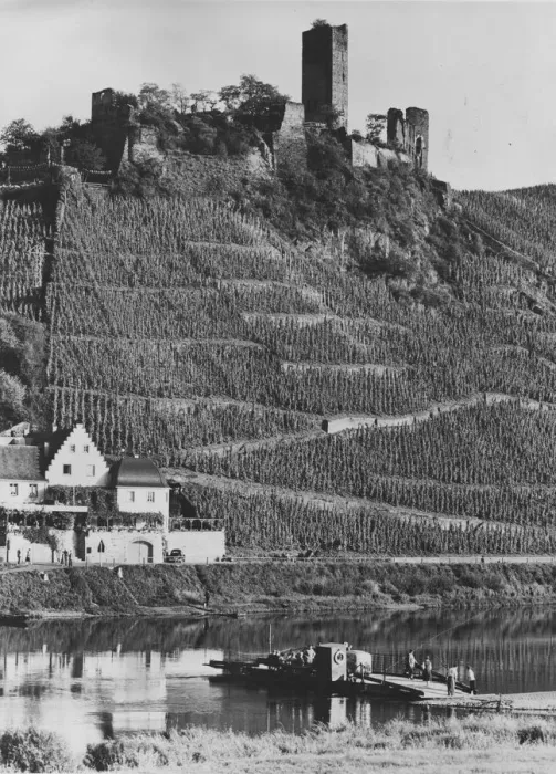 Framed Print : Beilstein. Metternich Castle and the vineyards at Beilstein Framed Print : Beilstein. Metternich Castle and the vineyards at Beilstein