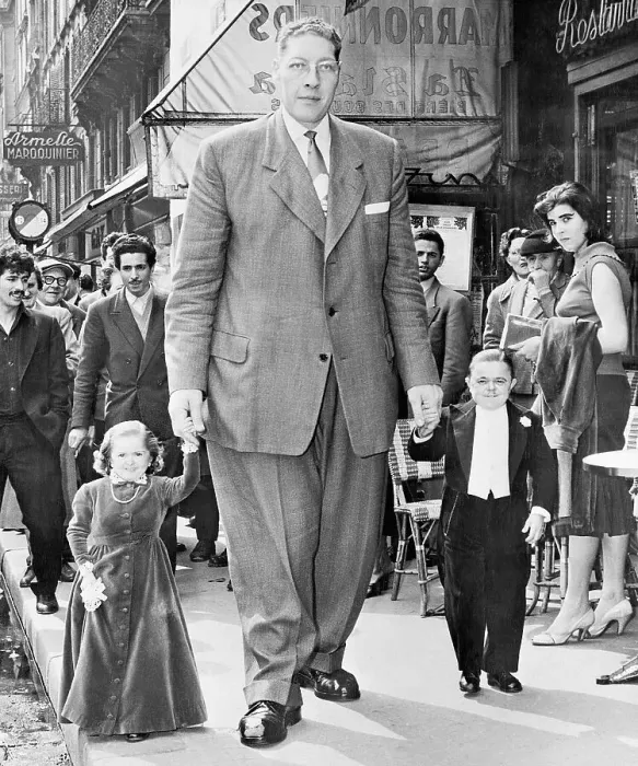Framed Print : Belgium Giant, Midgent Couple Stroll Framed Print : Belgium Giant, Midgent Couple Stroll