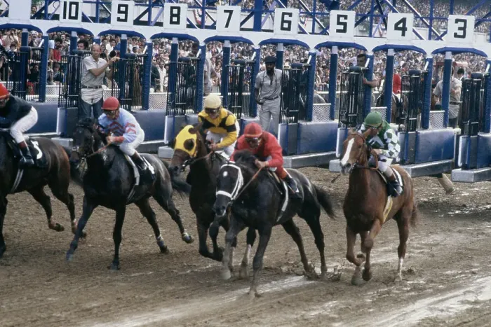 Framed Print : Belmont Stakes Framed Print : Belmont Stakes