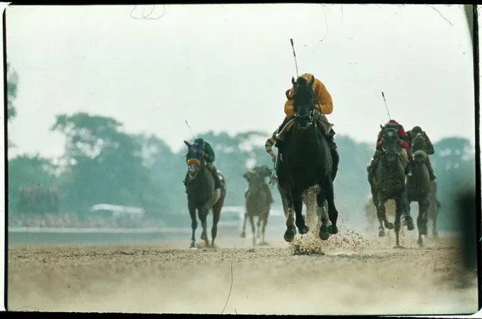 Framed Print : Belmont Stakes Horse Race in Action Framed Print : Belmont Stakes Horse Race in Action