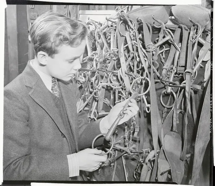 Framed Print : Ben Cooper Examining Bit in Equestrian Shop Framed Print : Ben Cooper Examining Bit in Equestrian Shop