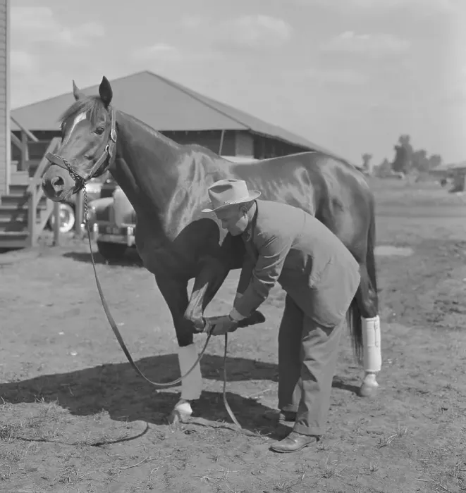 Framed Print : Ben Jones Checking Whirlaway's Hoof Framed Print : Ben Jones Checking Whirlaway's Hoof