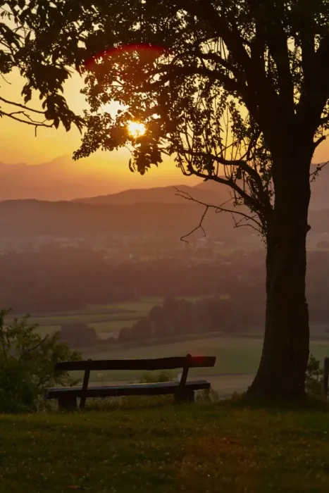 Framed Print : Bench under a tree, sunset, Podgrad, Dol pri Ljubljani, Slovenia Framed Print : Bench under a tree, sunset, Podgrad, Dol pri Ljubljani, Slovenia