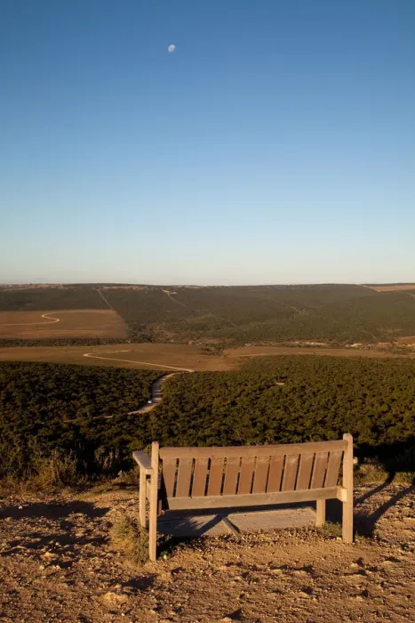 Framed Print : Bench on view terrace, Addo National Park, Eastern Cape, South Africa Framed Print : Bench on view terrace, Addo National Park, Eastern Cape, South Africa