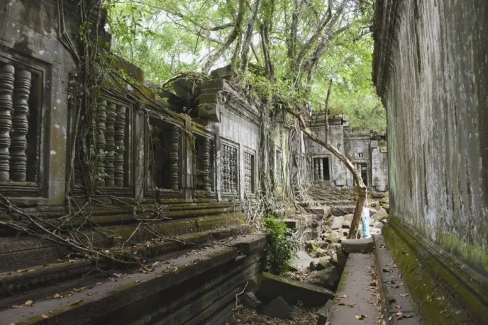 Framed Print : Beng Mealea Angkorian Temples, near Siem Reap, Cambodia Framed Print : Beng Mealea Angkorian Temples, near Siem Reap, Cambodia