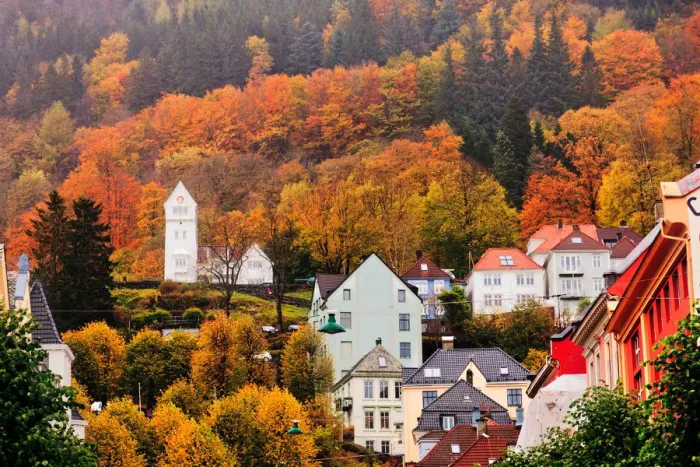 Framed Print : Bergen Autumn
