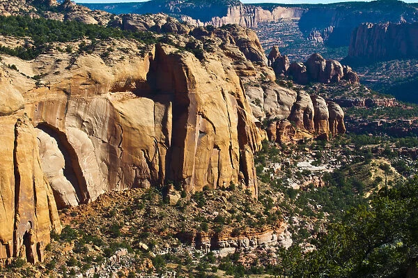 Betatakin Canyon, Navajo National Monument, Tsegi, Arizona, USA