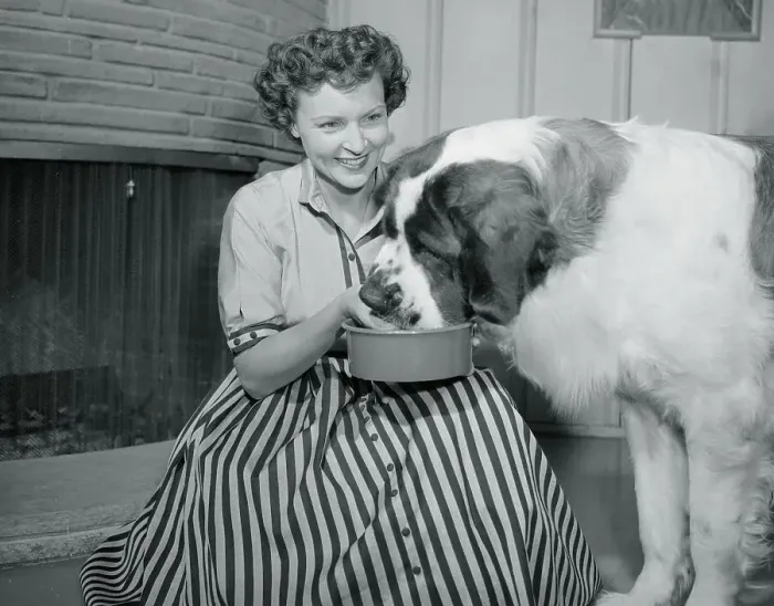 Framed Print : Betty White Feeding Her Dog Framed Print : Betty White Feeding Her Dog