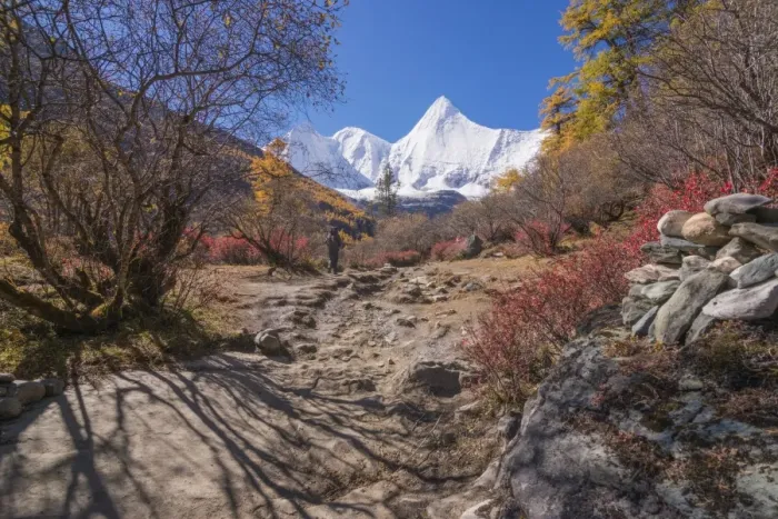 Framed Print : Beutiful nature of Colorful autumn in Yading national Framed Print : Beutiful nature of Colorful autumn in Yading national
