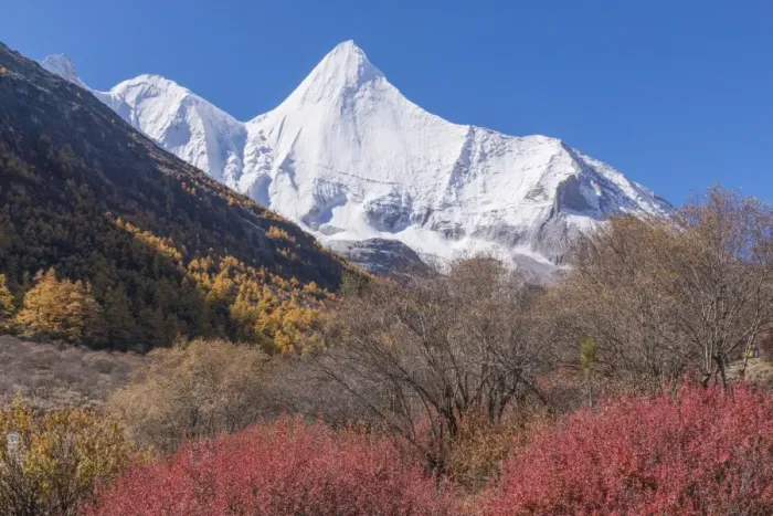 Framed Print : Beutiful nature of Colorful autumn in Yading national Framed Print : Beutiful nature of Colorful autumn in Yading national