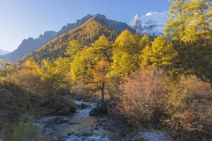 Framed Print : Beutiful nature of Colorful autumn in Yading national Framed Print : Beutiful nature of Colorful autumn in Yading national