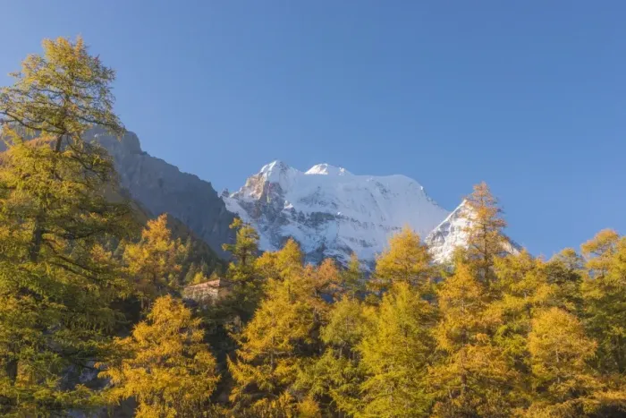 Framed Print : Beutiful nature of Colorful autumn in Yading national Framed Print : Beutiful nature of Colorful autumn in Yading national