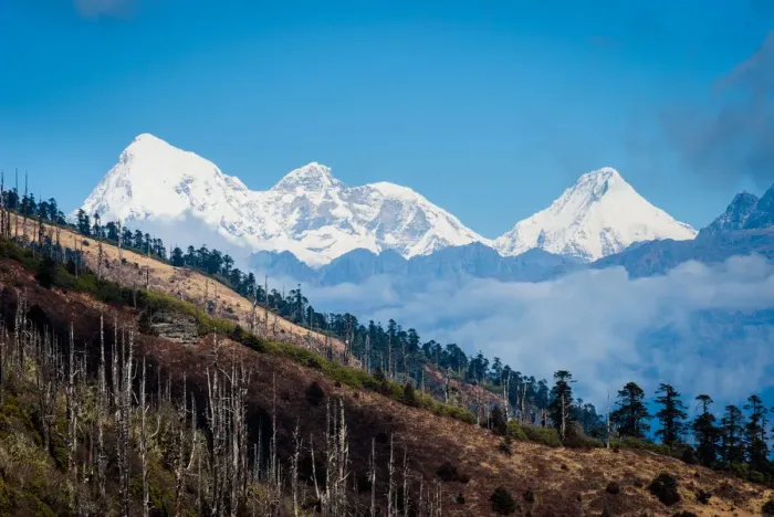 Framed Print : Bhutan, Paro, Chele La. View to Mt Jhomolhari from Cheli Pass Framed Print : Bhutan, Paro, Chele La. View to Mt Jhomolhari from Cheli Pass