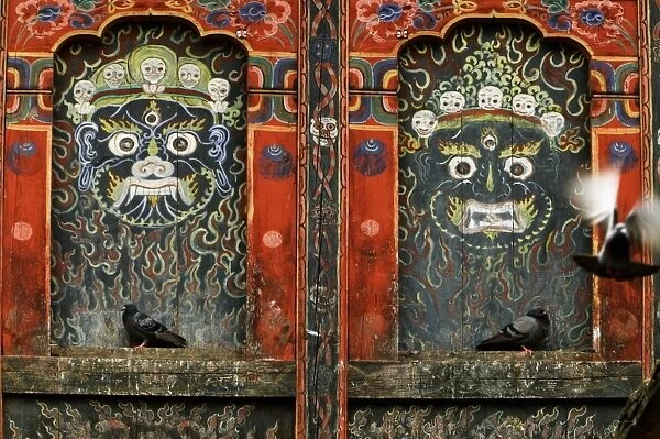 Bhutan, Punakha Valley, Punakha Dzong, pigeons on monastery wall