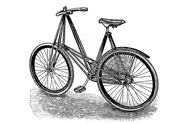 Bicycle. Antique illustration engraving of a bicycle