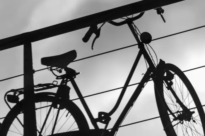 Framed Print : A Bicycle Culture That Moves Amsterdam