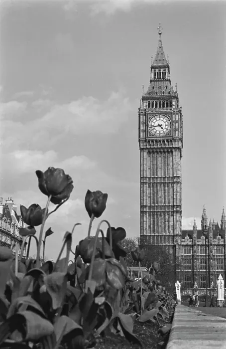 Framed Print : Big Ben At The Houses Of Parliament Framed Print : Big Ben At The Houses Of Parliament