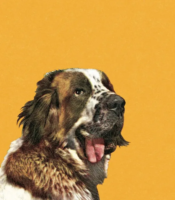 Framed Print : Big dog. http: / / csaimages.com / images / istockprofile / csa_vector_dsp.jpg Framed Print : Big dog. http: / / csaimages.com / images / istockprofile / csa_vector_dsp.jpg