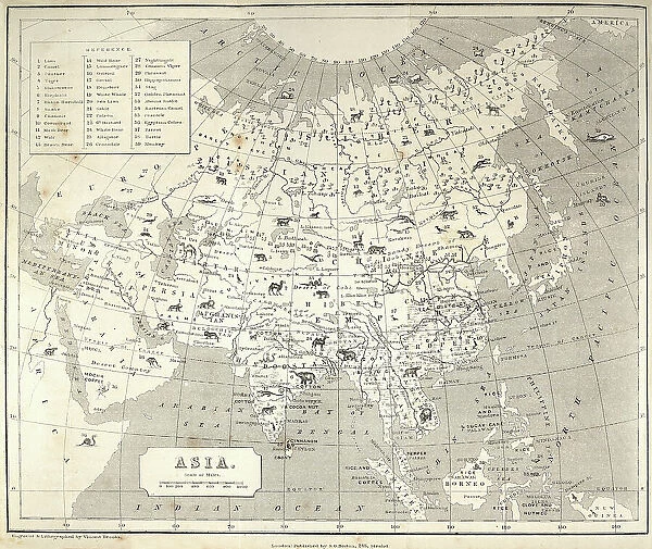 Big Game hunting Antquie map of Asia, showing locations of animals, Victorian 1860s, 19th Century