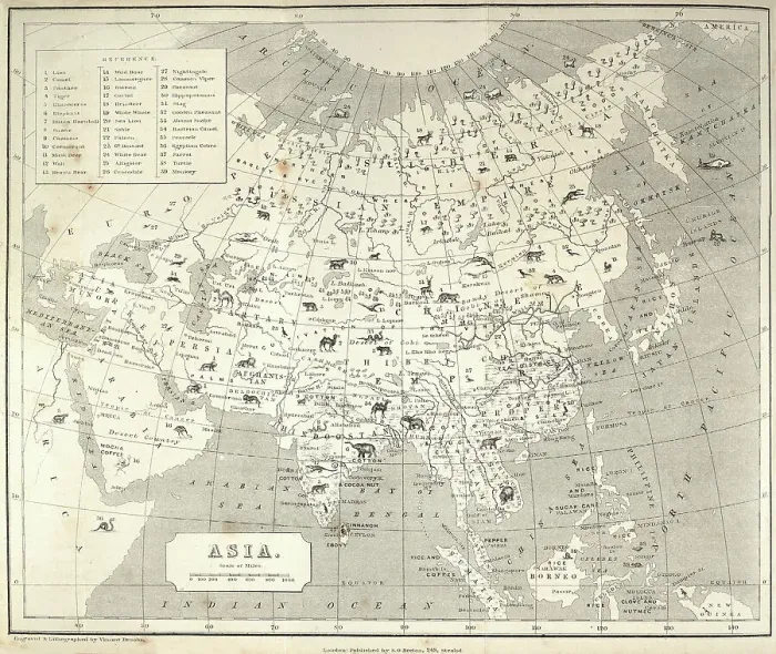 Framed Print : Big Game hunting Antquie map of Asia, showing locations of animals, Victorian 1860s, 19th Century Framed Print : Big Game hunting Antquie map of Asia, showing locations of animals, Victorian 1860s, 19th Century