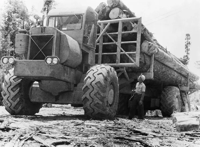Framed Print : Big Logs On Big, Big Truck Framed Print : Big Logs On Big, Big Truck
