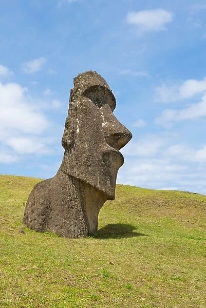Big moai portrait in a sunny day w  /  blue sky