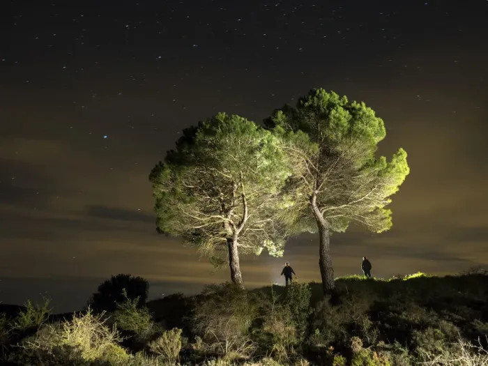 Framed Print : Two big trees in the night with persons silhouettes together with them, illuminated by the moonlight Framed Print : Two big trees in the night with persons silhouettes together with them, illuminated by the moonlight