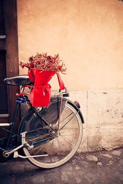 Bike with chili basket, vintage style