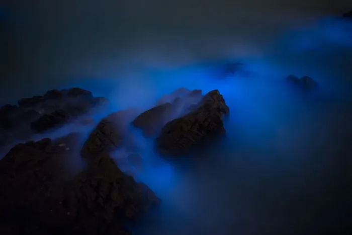 Framed Print : Bioluminescent algae Noctiluca Scintillans Framed Print : Bioluminescent algae Noctiluca Scintillans