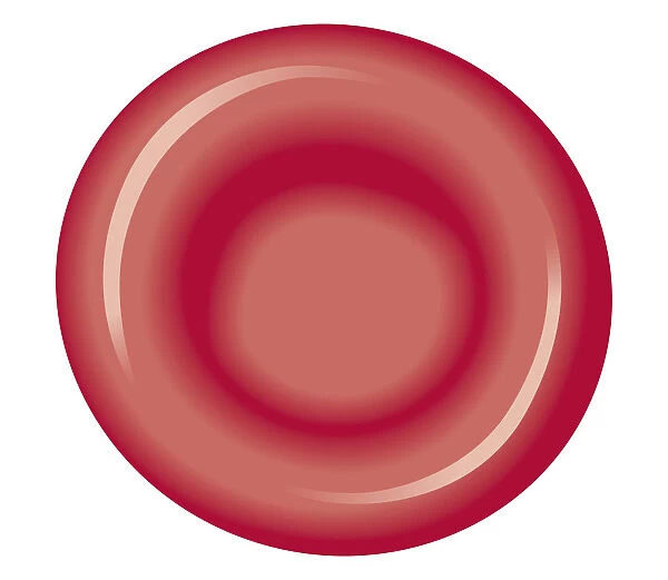 Biomedical illustration of red blood cell