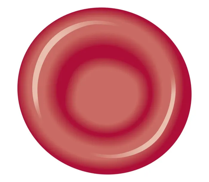 Framed Print : Biomedical illustration of red blood cell Framed Print : Biomedical illustration of red blood cell