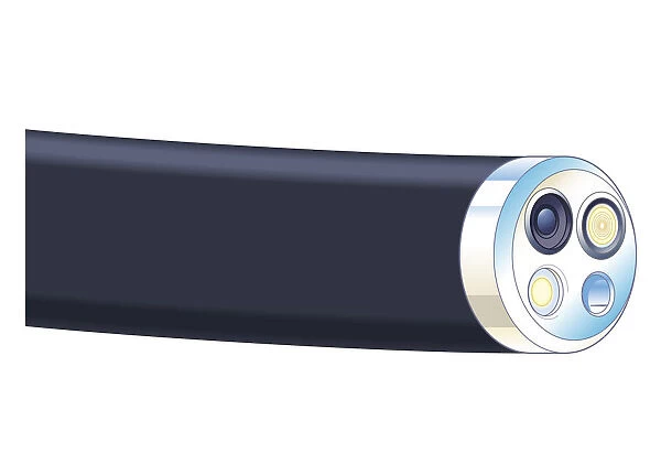 Biomedical illustration of tip of flexible endoscope