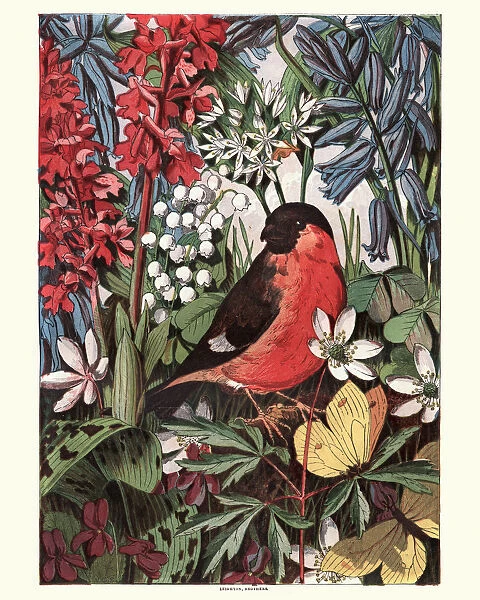 Bird amoung wildflowers, 1869