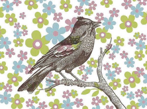 Bird on Floral Background