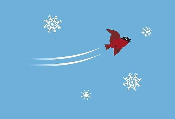 Bird flying between snowflakes